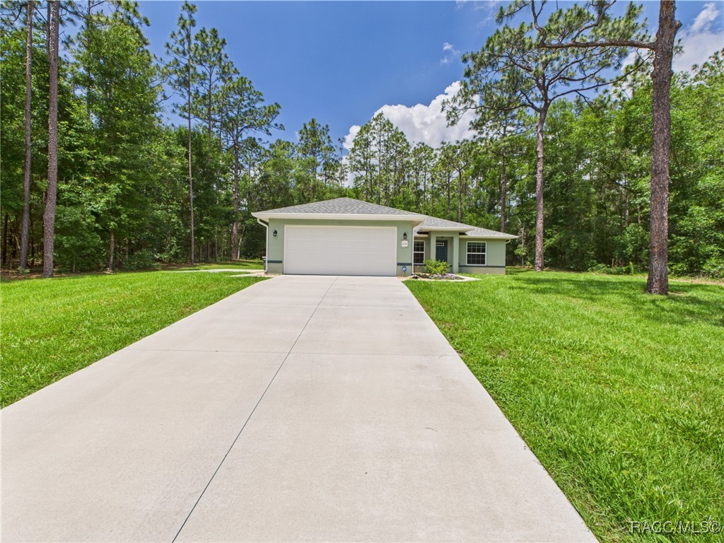 8456 N Dove Orchid Drive, Citrus Springs, Florida image 38
