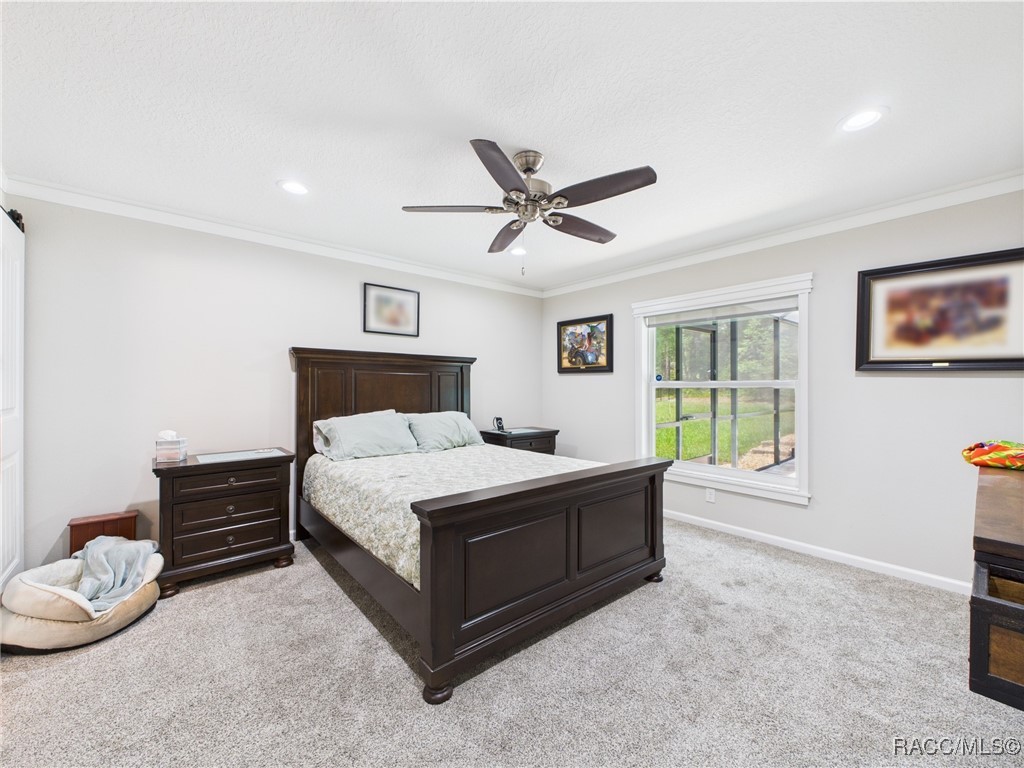 8456 N Dove Orchid Drive, Citrus Springs, Florida image 20
