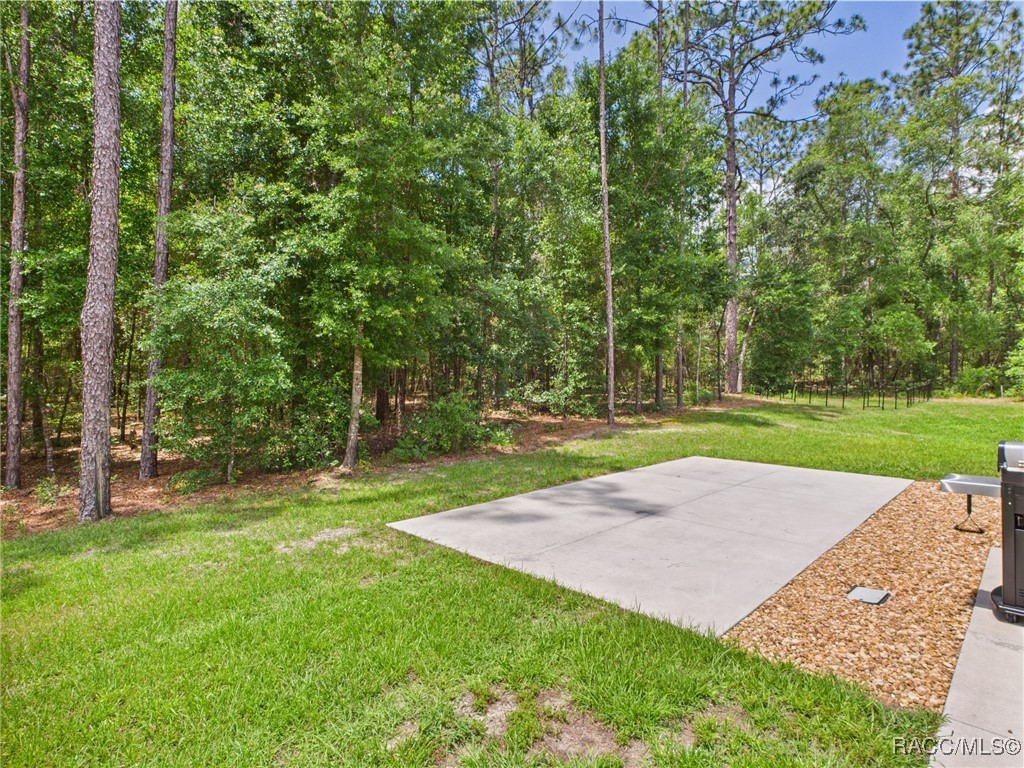 8456 N Dove Orchid Drive, Citrus Springs, Florida image 39