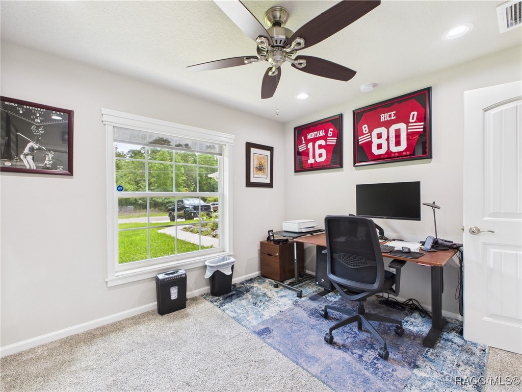 8456 N Dove Orchid Drive, Citrus Springs, Florida image 27