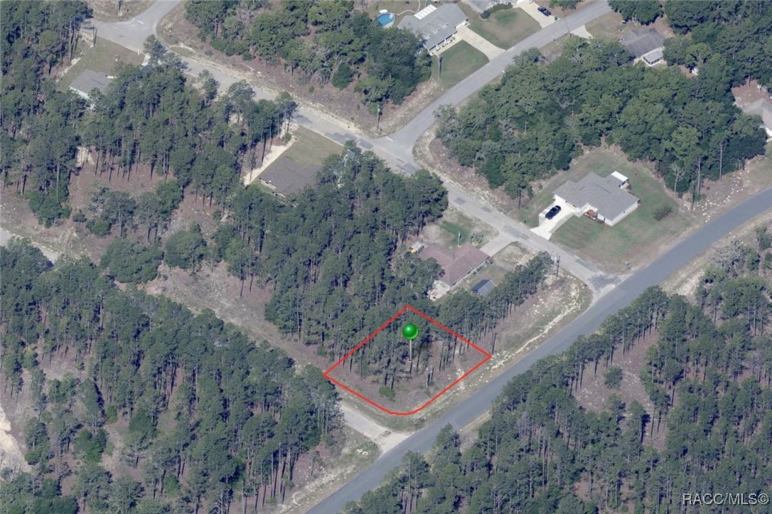 11001 N Letterwood Way, Citrus Springs, Florida image 1