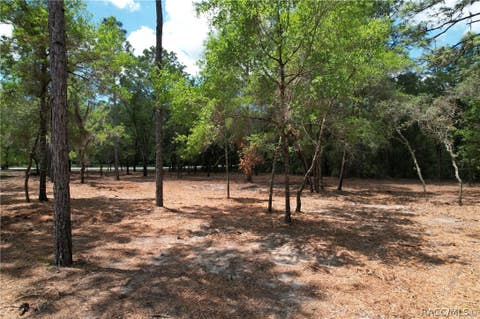 Vacant Land For Sale - 6925 W Copenhagen Street<br/> Dunnellon, FL 34433