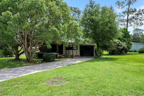 A home in Dunnellon