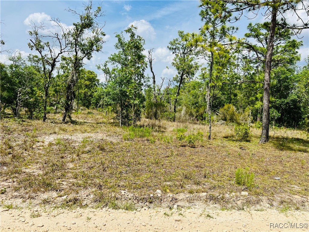 0000 NE 132 Terrace, Williston, Florida image 3