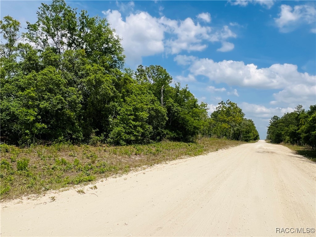 0000 NE 132 Terrace, Williston, Florida image 1