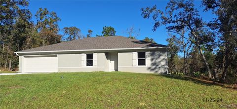 A home in Citrus Springs