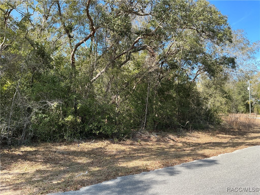 1534 W Magenta Drive, Citrus Springs, Florida image 3
