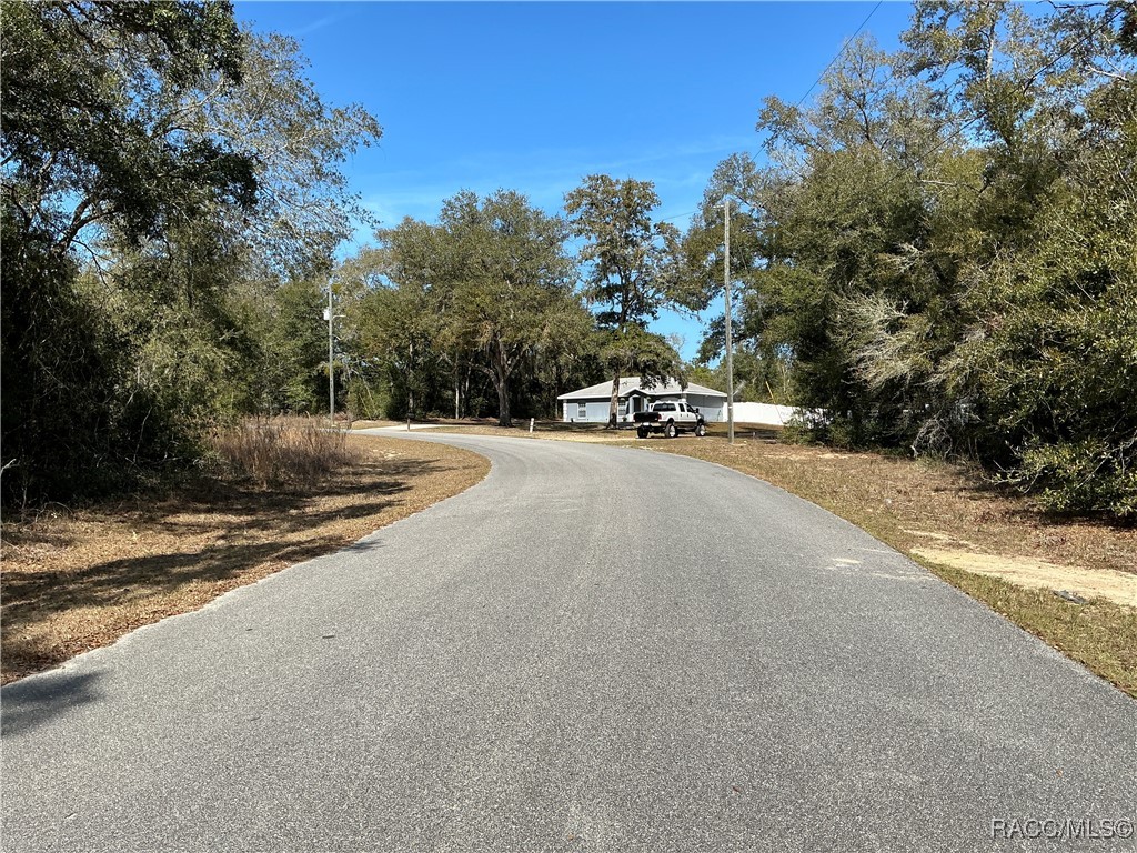 1534 W Magenta Drive, Citrus Springs, Florida image 4