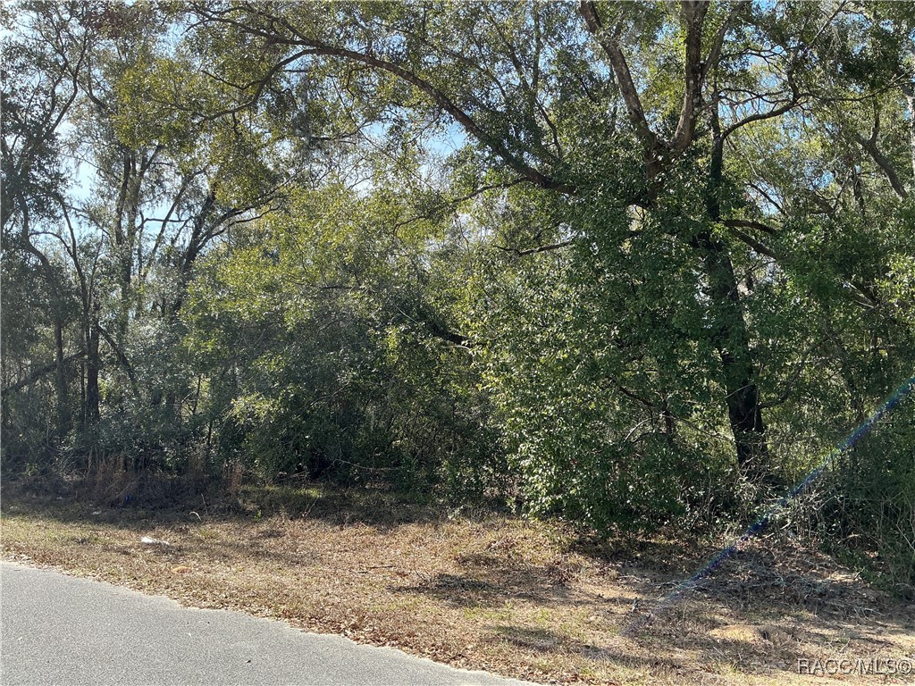 1534 W Magenta Drive, Citrus Springs, Florida image 2