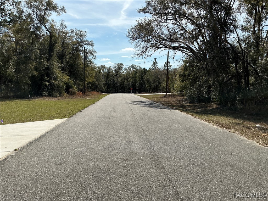 1534 W Magenta Drive, Citrus Springs, Florida image 5