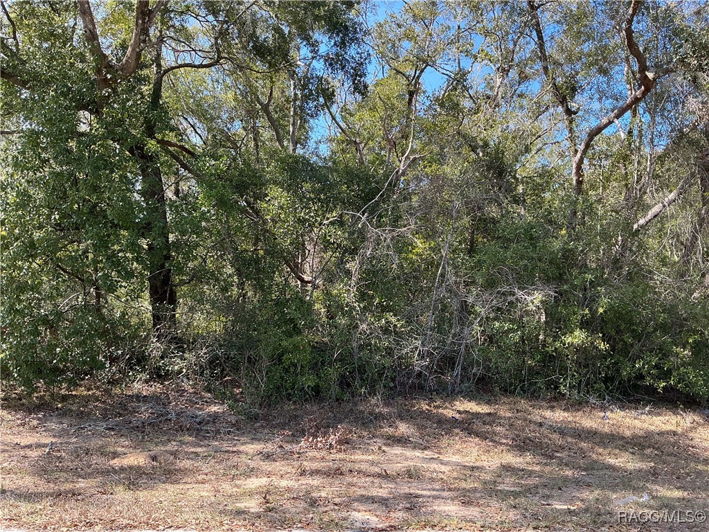 1534 W Magenta Drive, Citrus Springs, Florida image 1