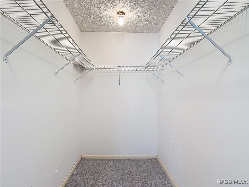 3328 S Whitechappel Point, Inverness, New York image 38