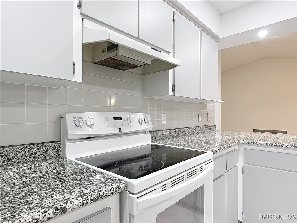 3328 S Whitechappel Point, Inverness, New York image 19