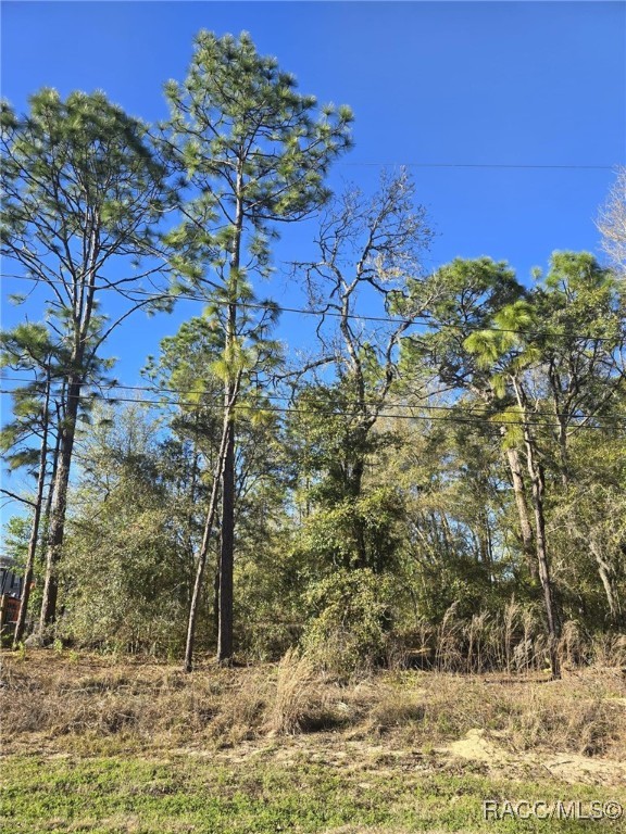 5215 E South Crossing Court, Inverness, Florida image 2