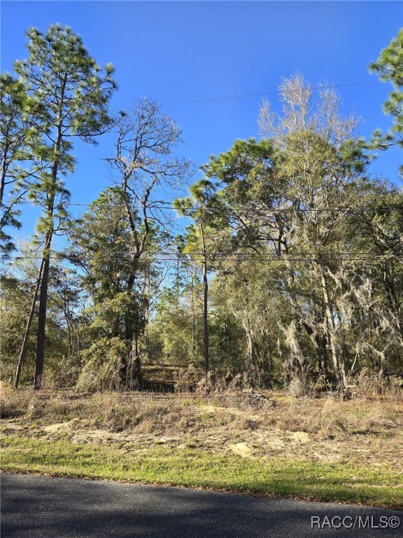 5215 E South Crossing Court, Inverness, Florida image 1
