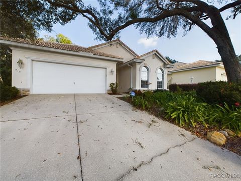 A home in Hernando