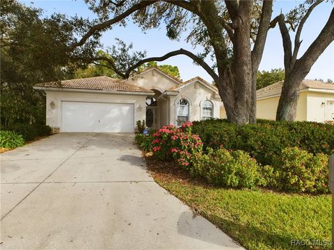 A home in Hernando