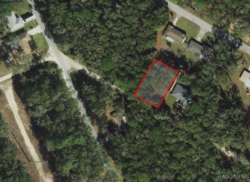 3397 E Alex Place, Inverness, Florida image 1