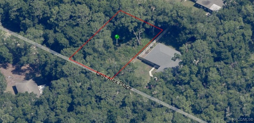 3397 E Alex Place, Inverness, Florida image 2