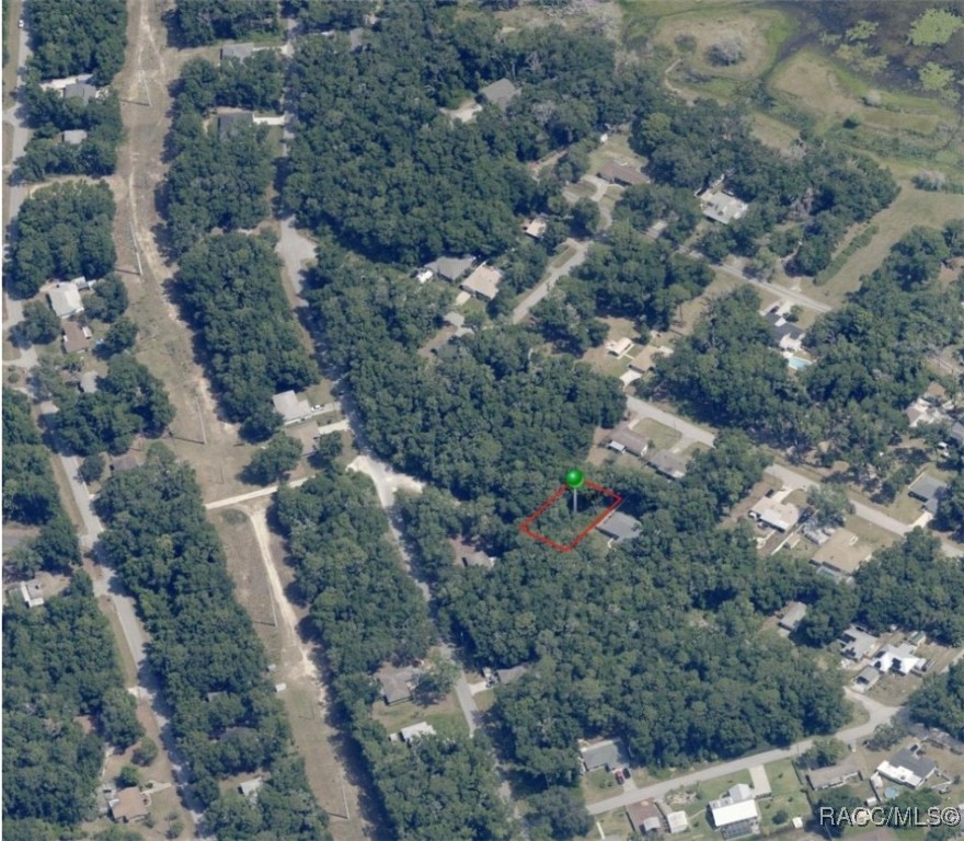 3397 E Alex Place, Inverness, Florida image 4