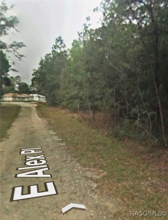 3397 E Alex Place, Inverness, Florida image 5