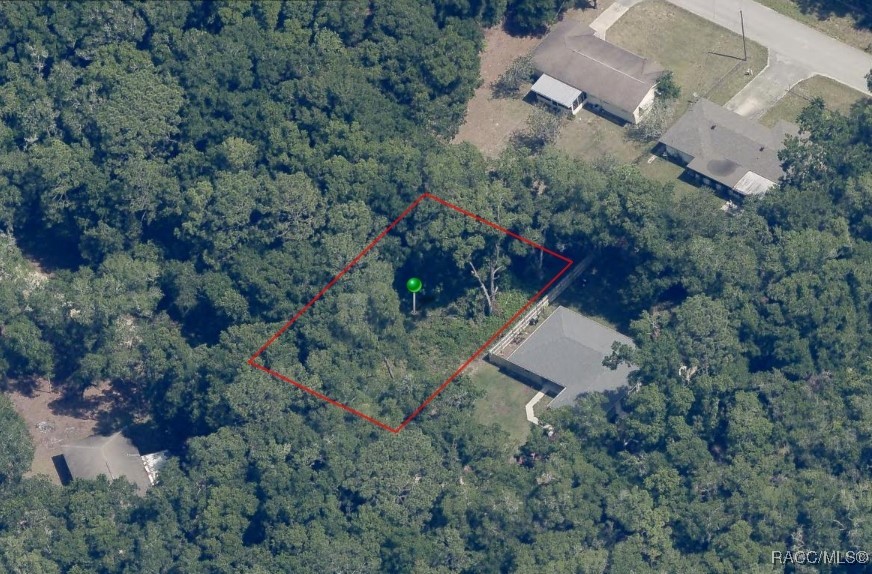 3397 E Alex Place, Inverness, Florida image 3