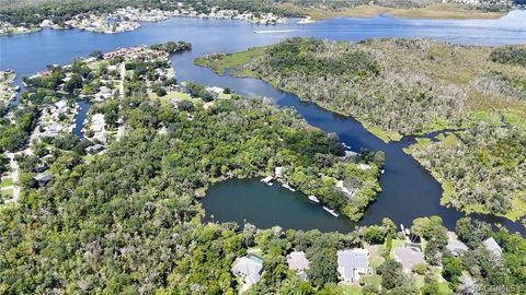 A home in Crystal River