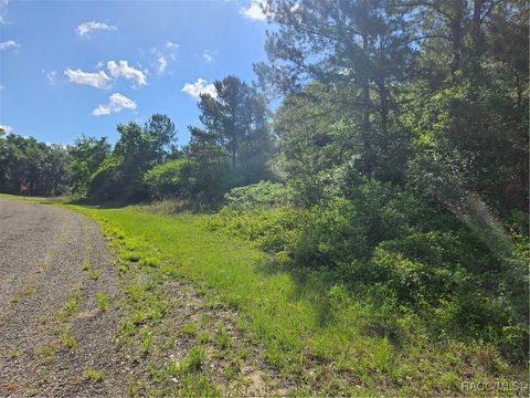 Homes For Sale - 622 E Abady Lane<br/> Citrus Springs, FL 34434