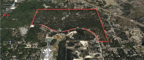 3406 N Turkey Oak Drive Crystal River FL 34428