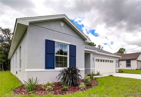 A home in Citrus Springs