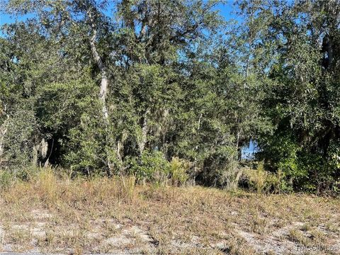 Vacant Land For Sale - LOTS 444 445 SW Shorewood Drive<br/> Dunnellon, FL 34431