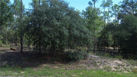 Vacant Land For Sale - 617 E Marquette Lane<br/> Citrus County, Citrus Springs, FL 34434
