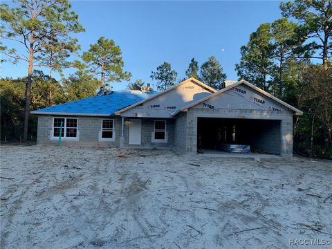 A home in Citrus Springs