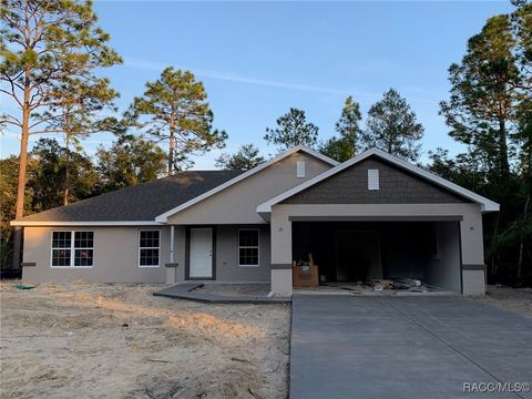 A home in Citrus Springs