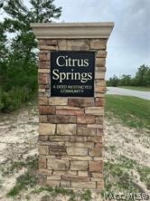 9198 N Justa Drive, Citrus Springs, Florida image 11