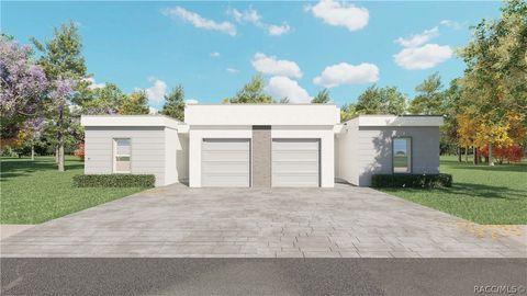 11137 N Vesta Point Dunnellon FL 34434