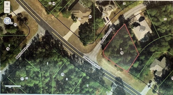 1 FRINGETREE ST, HOMOSASSA, FL 34446 - Image d79ac3f8fea8ad9d5f8103fa318bbd29/2570700286