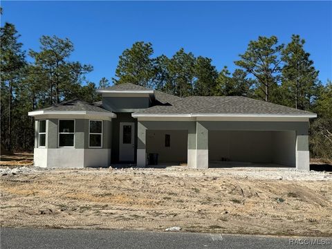 A home in Citrus Springs