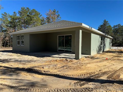 A home in Citrus Springs