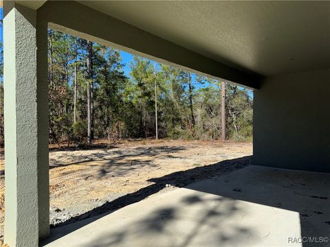 A home in Citrus Springs