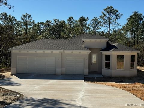 A home in Citrus Springs