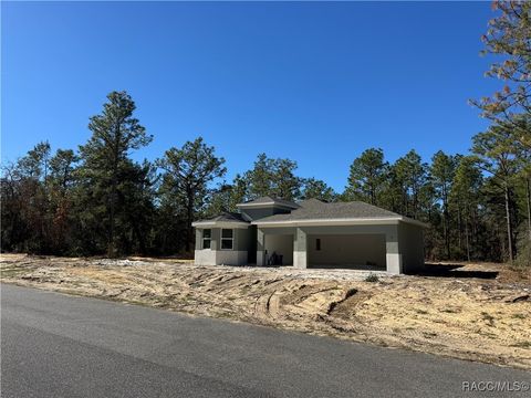 A home in Citrus Springs