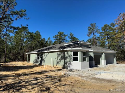 A home in Citrus Springs