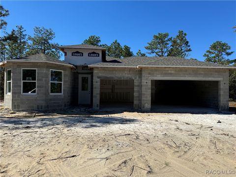 A home in Citrus Springs