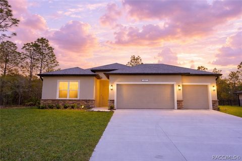 Homes For Sale - 87 Vinca Street<br/> Homosassa, FL 34446