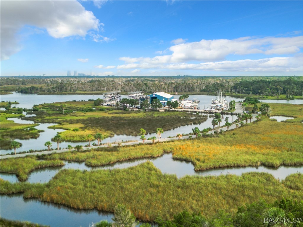 2695 N Seabreeze Point, Crystal River, Florida image 32