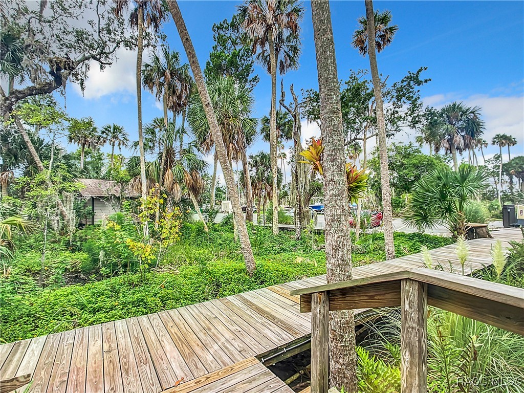 2695 N Seabreeze Point, Crystal River, Florida image 3