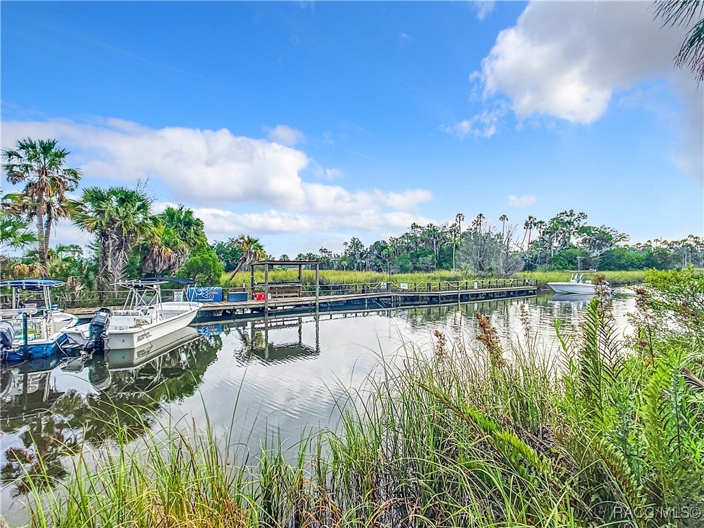 2695 N Seabreeze Point, Crystal River, Florida image 25