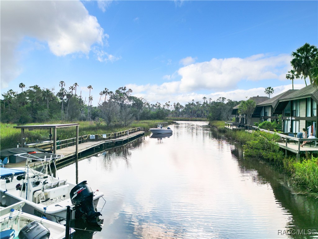 2695 N Seabreeze Point, Crystal River, Florida image 28