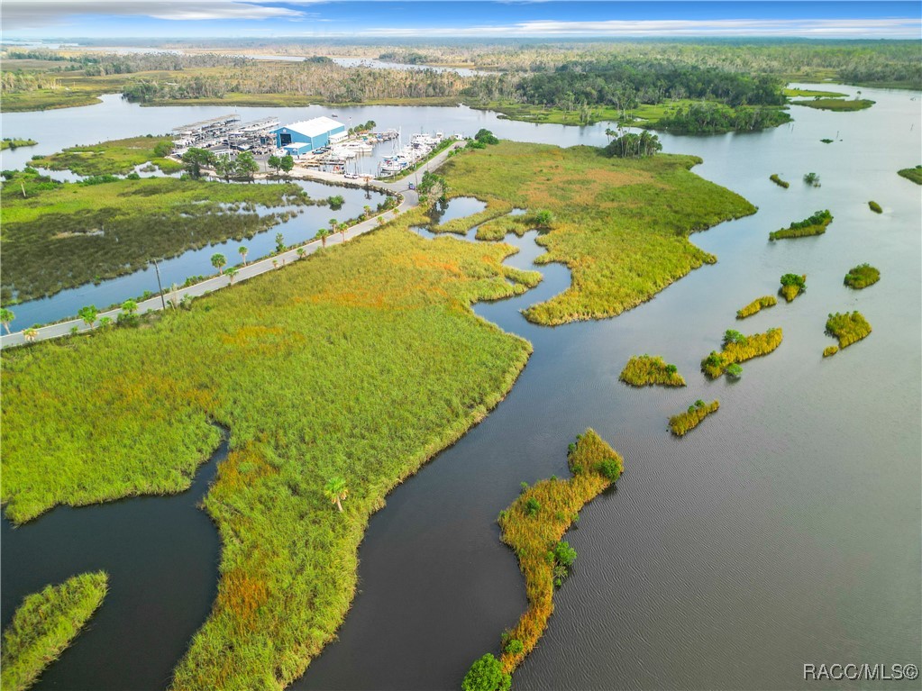 2695 N Seabreeze Point, Crystal River, Florida image 33
